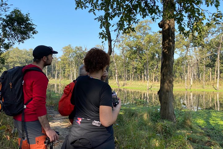 3 Nachten 4 Dagen Comfortabele Chitwan Safari Tour