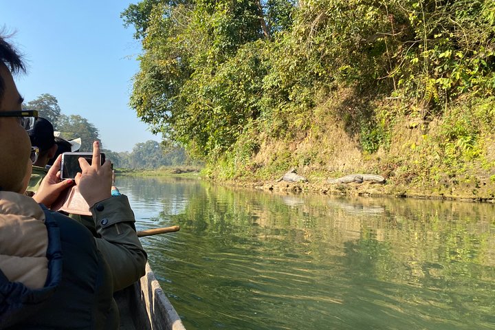 3 Nachten 4 Dagen Comfortabele Chitwan Safari Tour