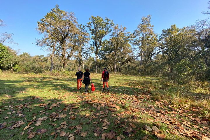 3 Nachten 4 Dagen Comfortabele Chitwan Safari Tour