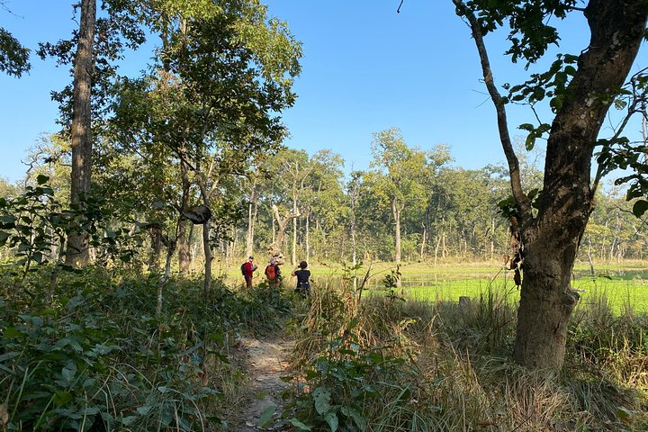 3 Nachten 4 Dagen Comfortabele Chitwan Safari Tour