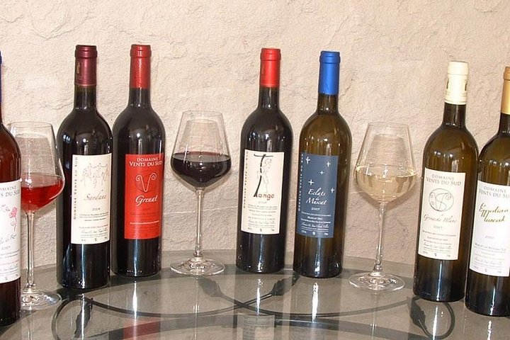 laboratorio di degustazione da 6 a 8 vini con salumi formaggio al cioccolato