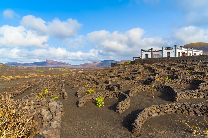 Excursión al Timanfaya y sur de Lanzarote desde Fuerteventura