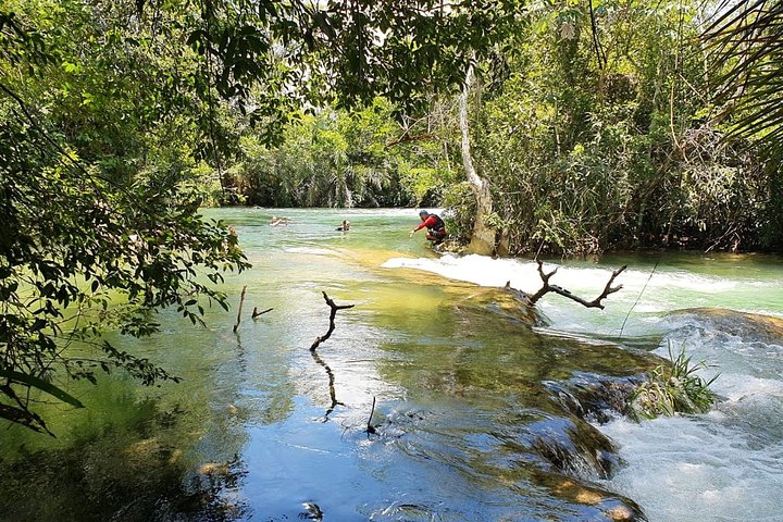 Entrada al Parque Ecológico Río Formoso con Acto Facultativo