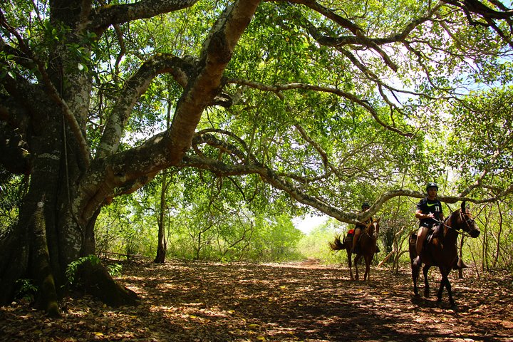 Entrada al Parque Ecológico Río Formoso con Acto Facultativo
