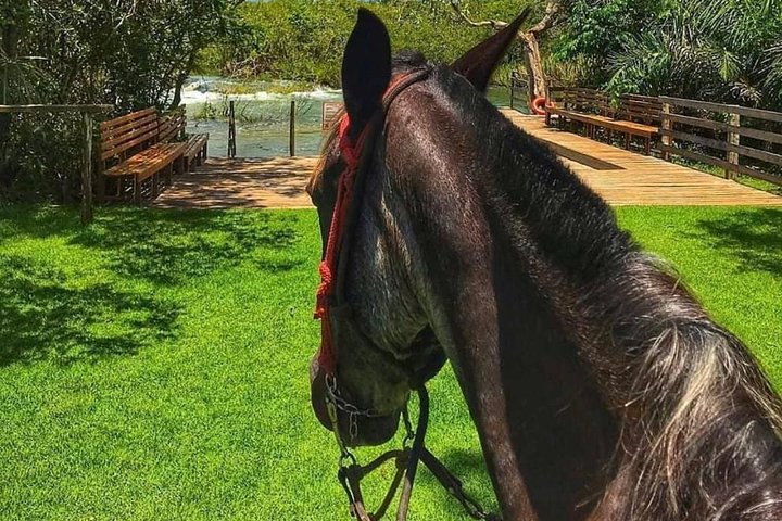 Entrada al Parque Ecológico Río Formoso con Acto Facultativo