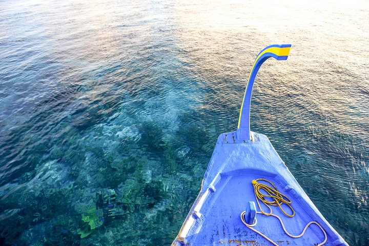 Dolphin Cruise in Dhiffushi