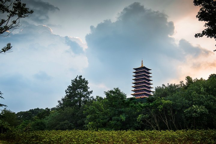 Halbtägige private Tour zum Niushoushan Kulturpark in Nanjing