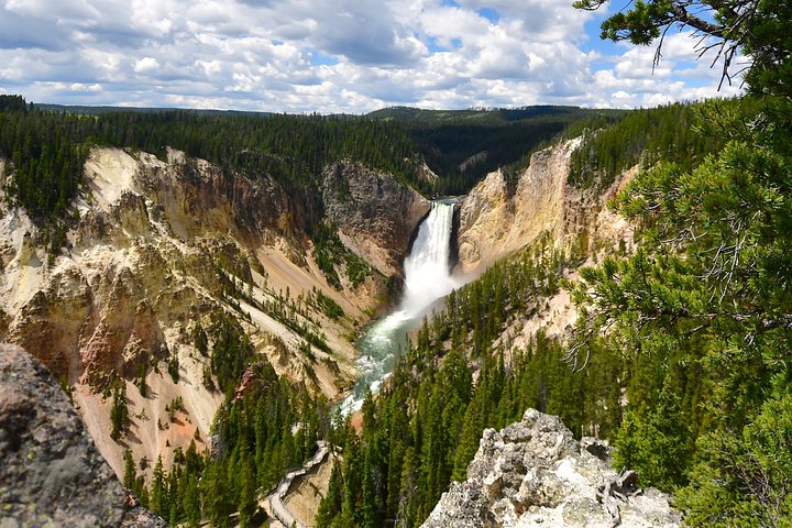 Visite privée de Yellowstone : sites emblématiques, faune, randonnées familiales + déjeuner