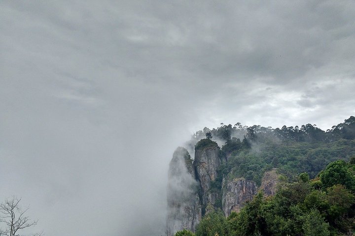 Romantic tour in Kodaikanal