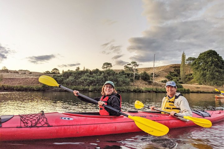 Tauranga : Tour en kayak por la noche en gusano resplandeciente