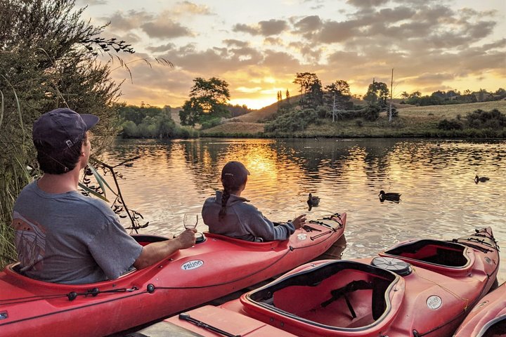 Tauranga : Tour en kayak por la noche en gusano resplandeciente
