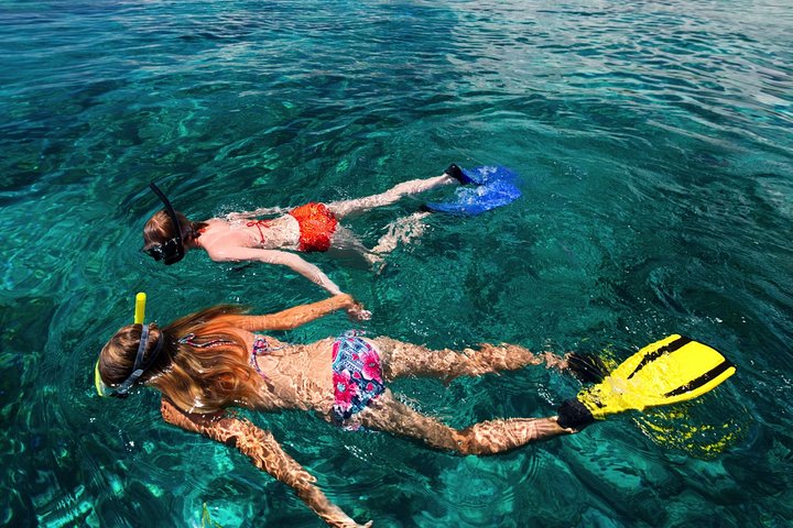 Practique snorkel en la isla tropical perfecta Caye de seda con tortugas, rayas y tiburones