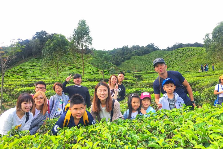Cameron Highland beste dagstur fra Ipoh med lunsj (dagstur)