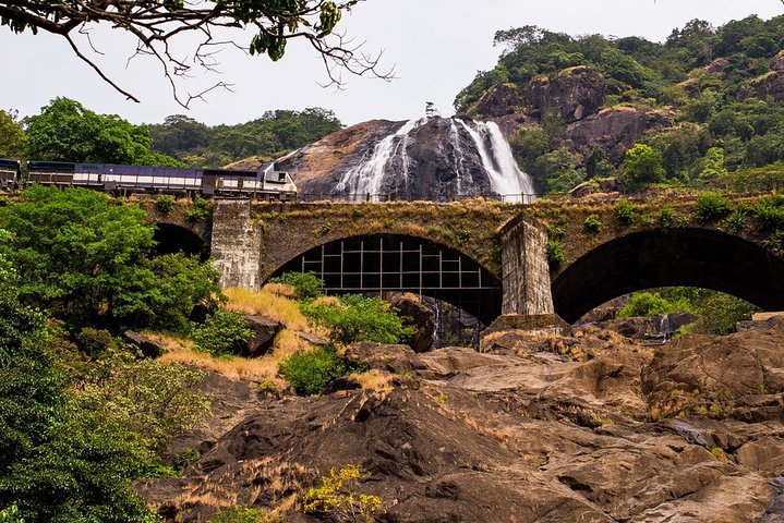 Excursão de dia inteiro às cachoeiras de Old Goa Dudhsagar e plantação de especiarias