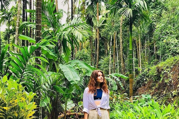 Excursão de dia inteiro às cachoeiras de Old Goa Dudhsagar e plantação de especiarias