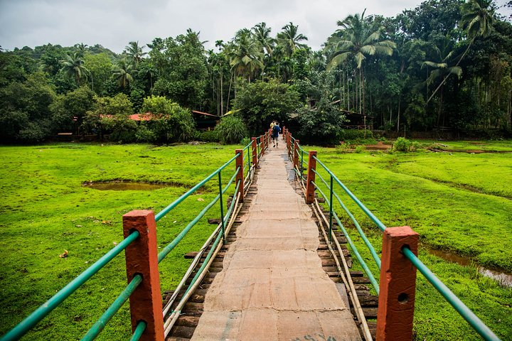 Excursão de dia inteiro às cachoeiras de Old Goa Dudhsagar e plantação de especiarias