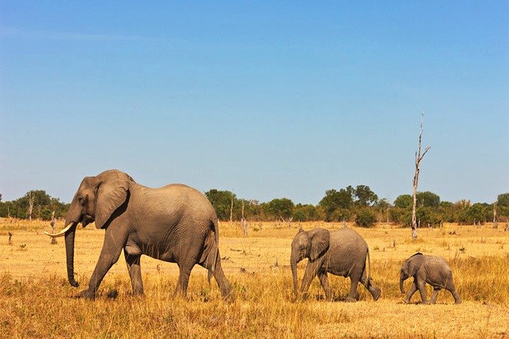 3 jours, 2 nuits Safari - Parc national d'Amboseli et Tsavo West Adventure Safari
