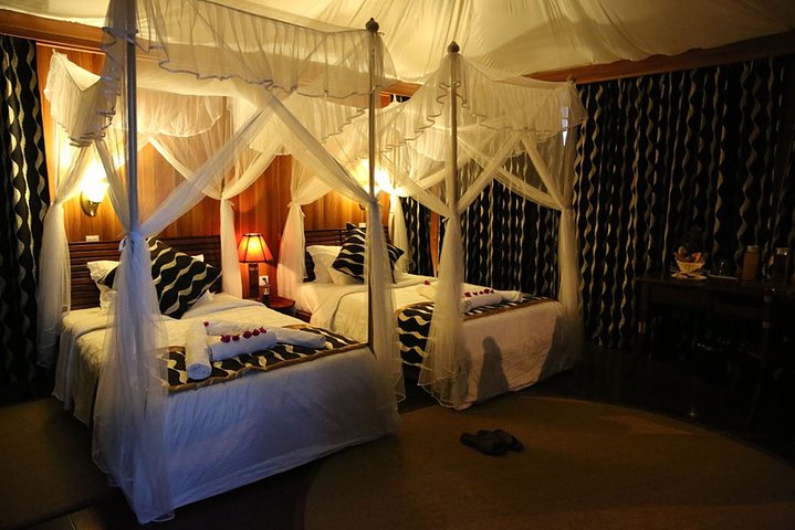 Safari de 4 dias, 3 noites - Lake Nakuru e Maasai Mara Safari