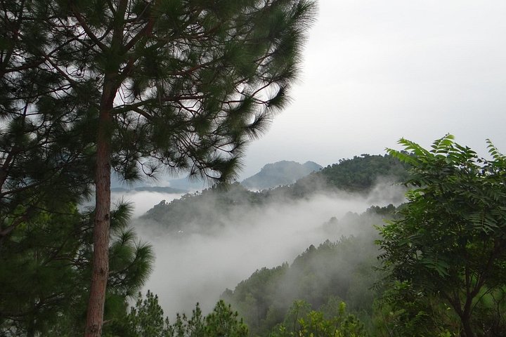 Chandigarh zur Shimla Hill Station 4-tägige private Tour