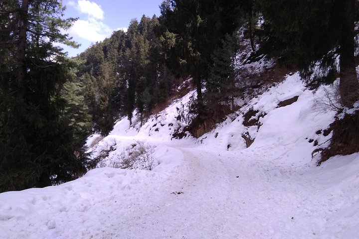 Chandigarh zur Shimla Hill Station 4-tägige private Tour