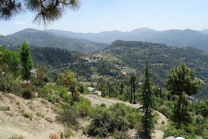 Chandigarh zur Shimla Hill Station 4-tägige private Tour