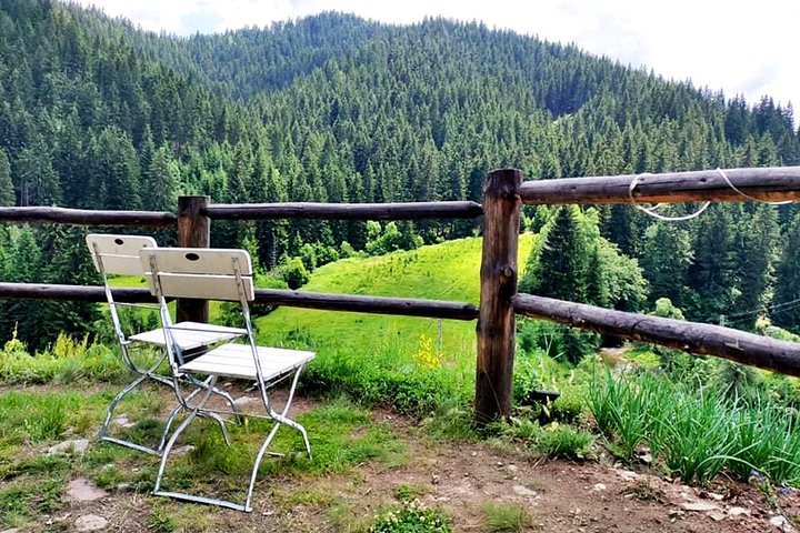 Zip Line & Via Ferrata Experience in the Rhodope Mountains