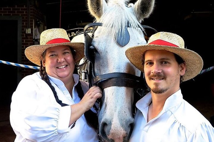Charleston's Old South Carriage Historic Horse & Carriage Tour