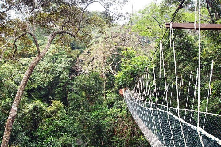 Kuala Besut naar Taman Negara Enkele reis SIC-overdrachten