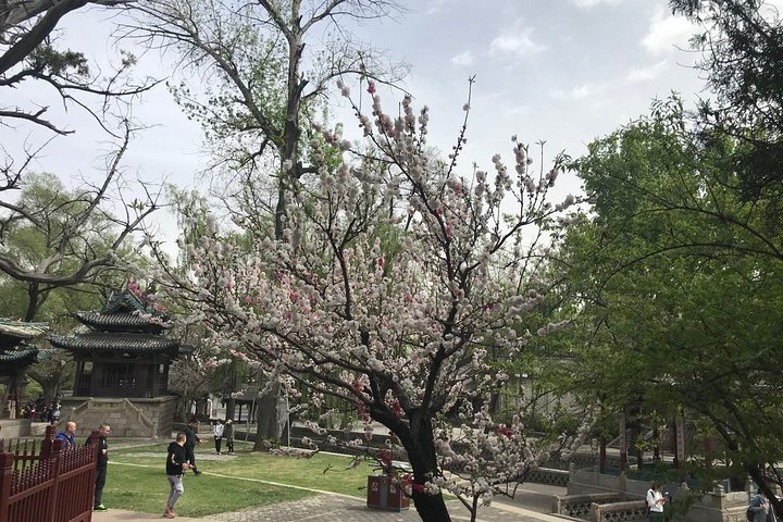 Privat dagstur i Taiyuan: Jinci, Mengshan Buddha, Tianlong Mount