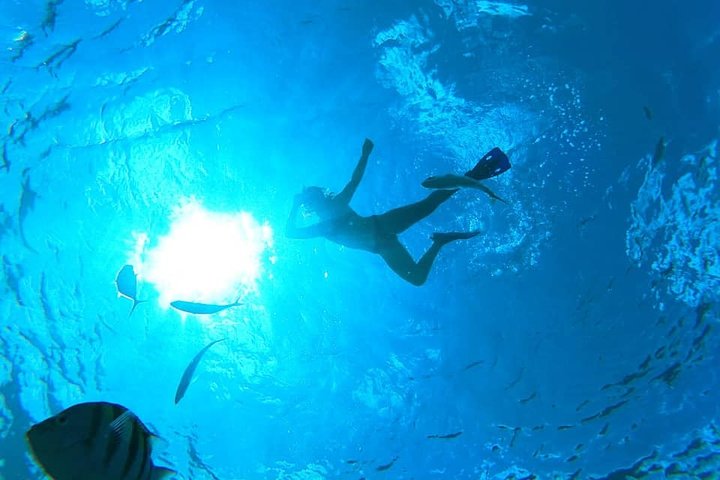 Cozumel snorkeltour: Palancar, Columbia en El Cielo Reefs