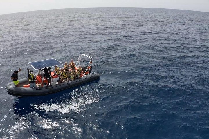 2 uur durende excursie dolfijnen en walvissen spotten + snorkelen