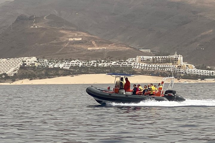2 uur durende excursie dolfijnen en walvissen spotten + snorkelen