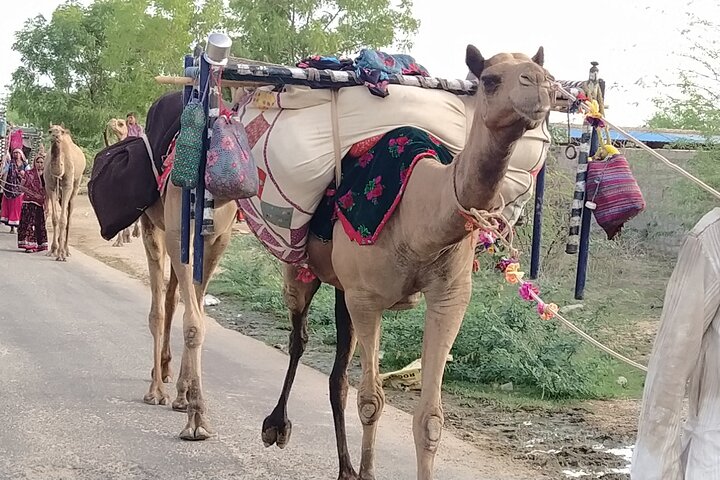 Mehrangarh Fort and Blue City Historic Tour with Local Guide