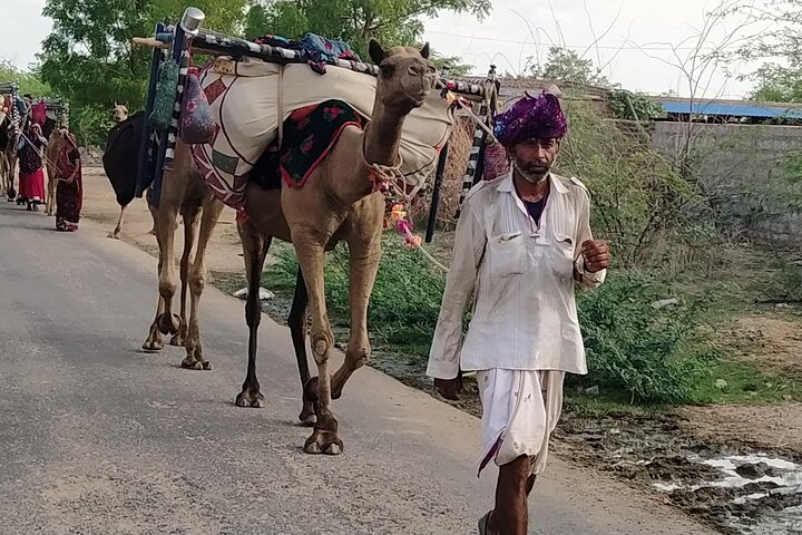 Mehrangarh Fort and Blue City Historic Tour with Local Guide