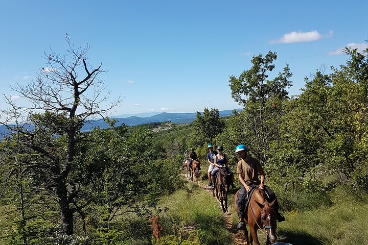 Paardrijden in de Haute Provence Luberon en Forcalquier