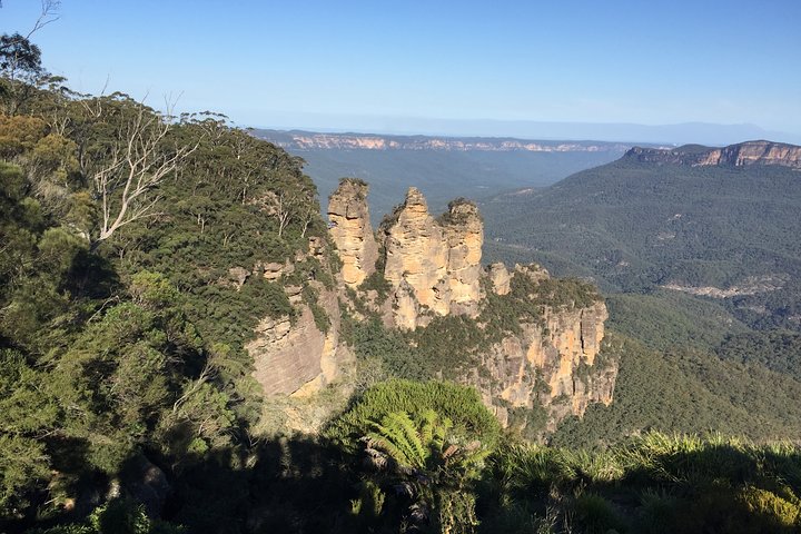 Blue Mountains privat tur fra Sydney, & Featherdale Aussie Animal Park Option