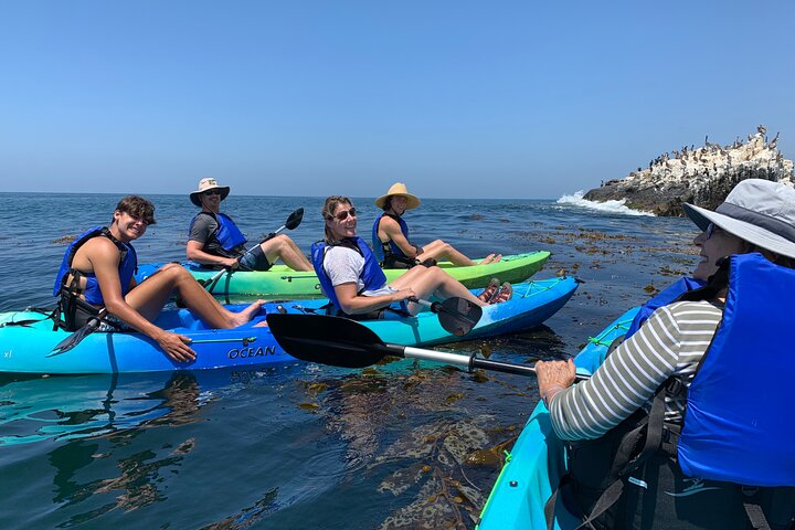 Laguna Beach Open Ocean Kayaking Tour met waarnemingen van zeeleeuwen