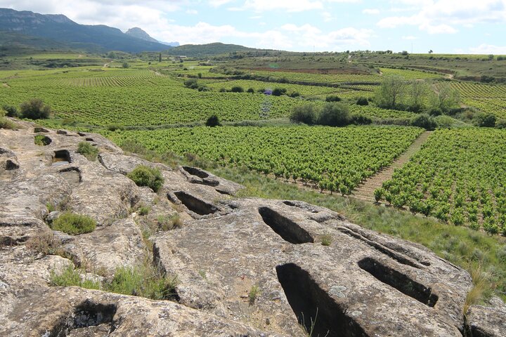 Privat rundvisning i vinmarkerne i San Vicente de la Sonsierra