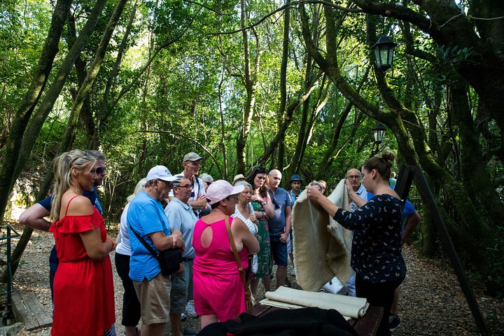 Excursión al valle de Konavle desde Dubrovnik - Paseo en tren y cata de vinos