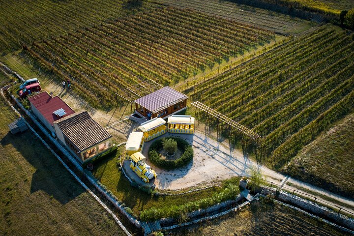 Excursión al valle de Konavle desde Dubrovnik - Paseo en tren y cata de vinos