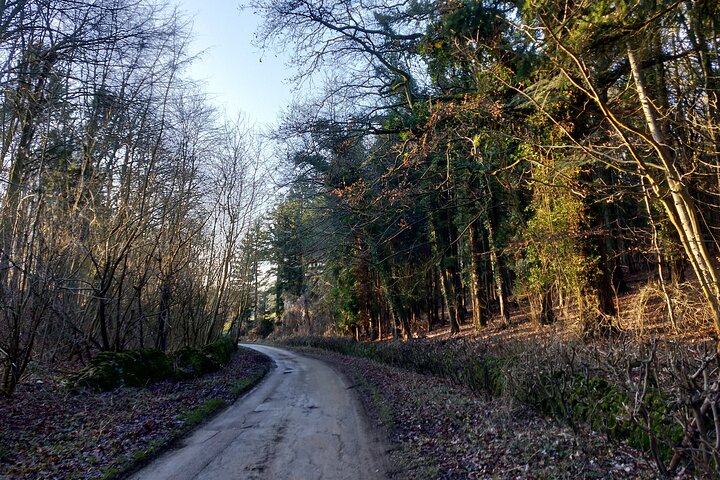 A excursão privada de um dia de bicicleta elétrica em Cotswolds começa perto de Oxford