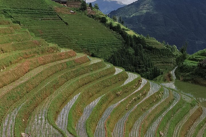 9-dages privat tur fra Nanning til Yangshuo og Guangzhou i bil