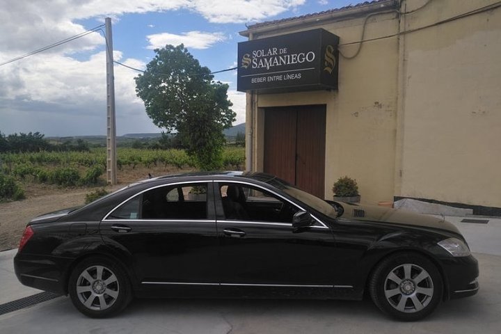 Privat transfer från Elciego city till San Sebastian