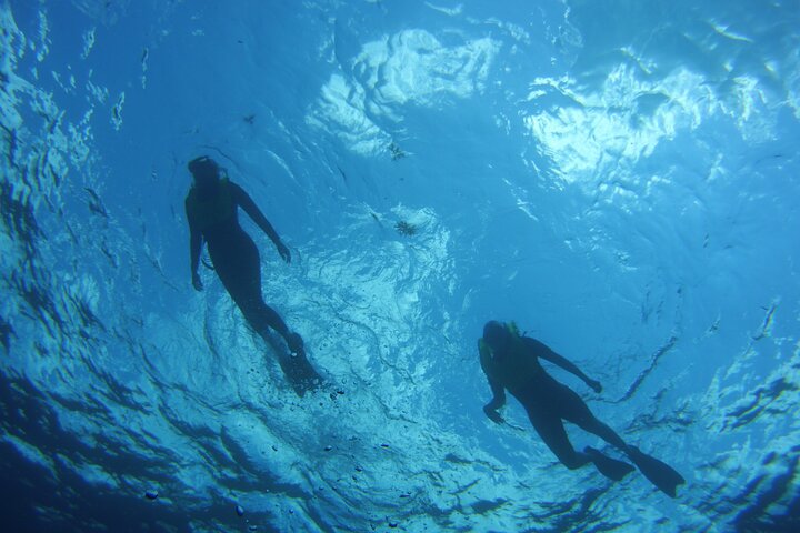 Privé snorkeltocht naar Key Largo Reef voor maximaal 12 personen - INCLUSIEF UITRUSTING!