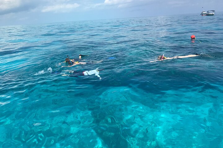 Privé snorkeltocht naar Key Largo Reef voor maximaal 12 personen - INCLUSIEF UITRUSTING!