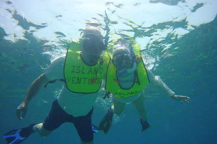 Privé snorkeltocht naar Key Largo Reef voor maximaal 12 personen - INCLUSIEF UITRUSTING!