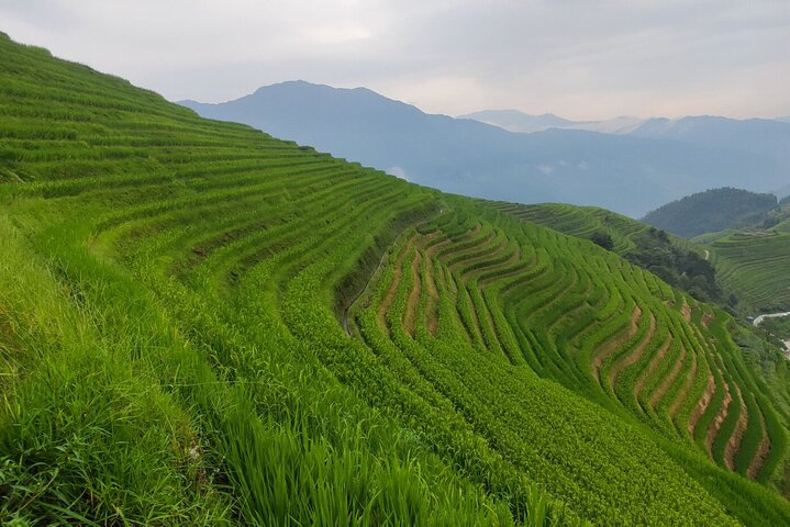 6-dages privat tur fra Sanjiang til Ziyuan og Guilin