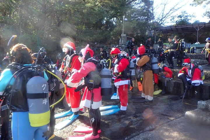 Genießen Sie das Tauchen auf der Izu-Halbinsel für das Zertifikat Diver