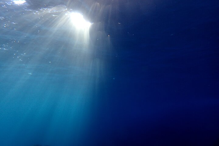 Genießen Sie das Tauchen auf der Izu-Halbinsel für das Zertifikat Diver