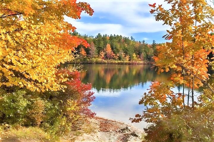 Excursion d'une journée de Boston au New Hampshire au feuillage d'automne dans les montagnes blanches